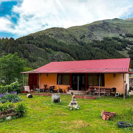 Villa Januka Garden At Sno Kazbegi Esterno foto