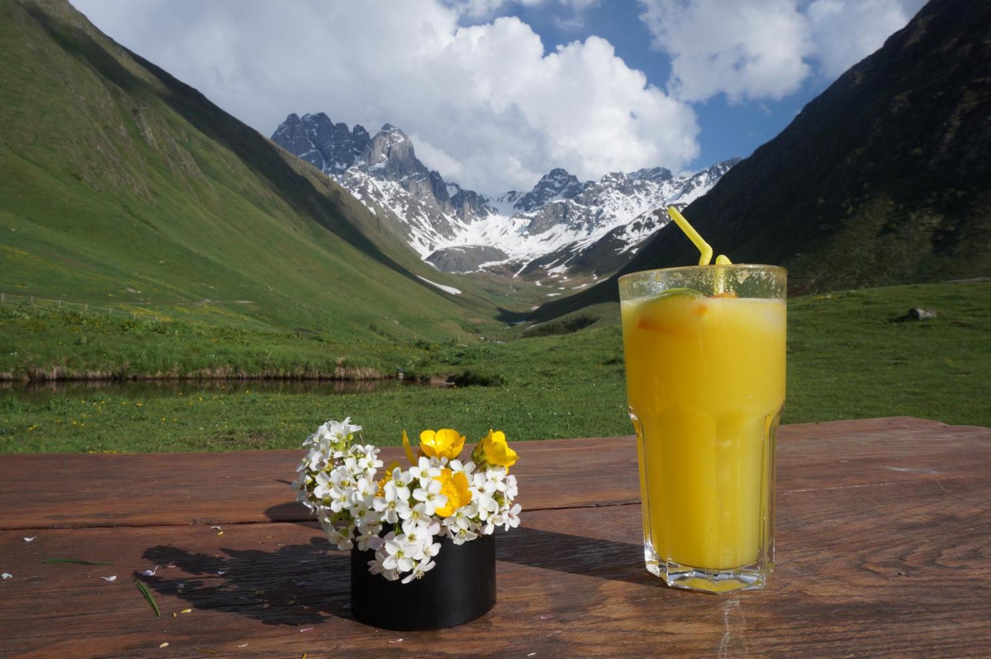 Villa Januka Garden At Sno Kazbegi Esterno foto