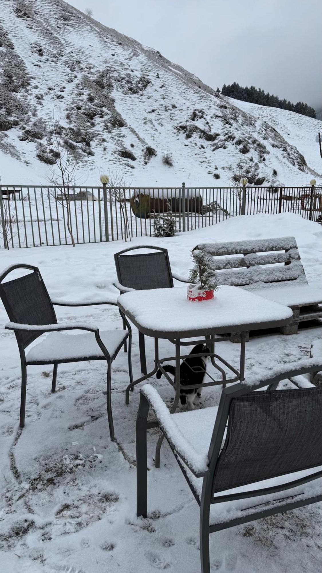 Villa Januka Garden At Sno Kazbegi Esterno foto