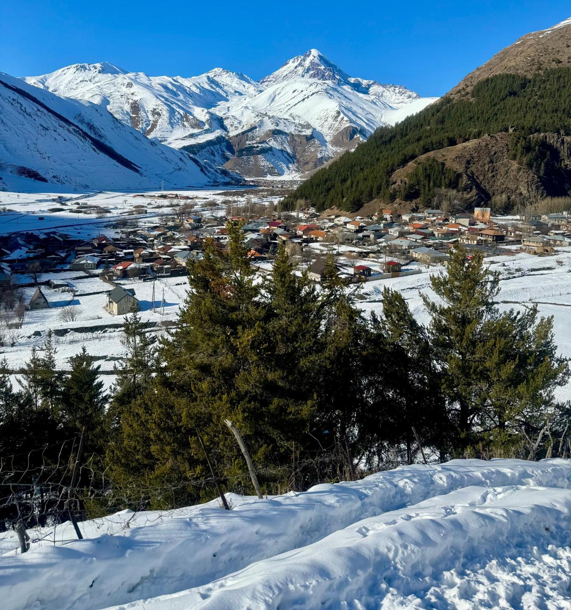 Villa Januka Garden At Sno Kazbegi Esterno foto